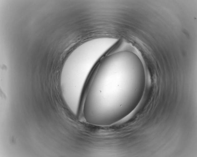 X0000090950556200708091330