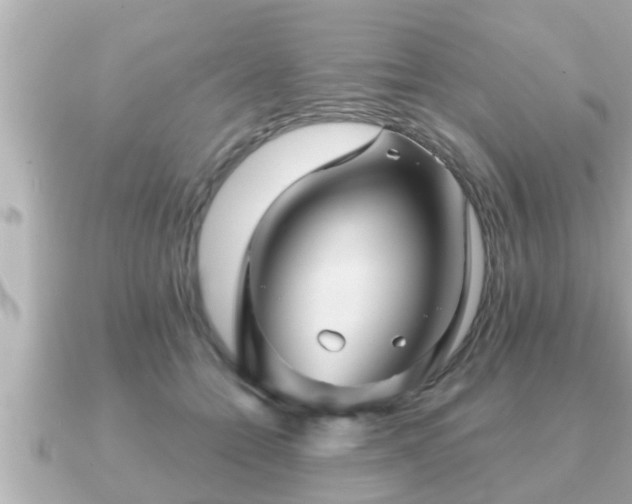 X0000090950558200708091330