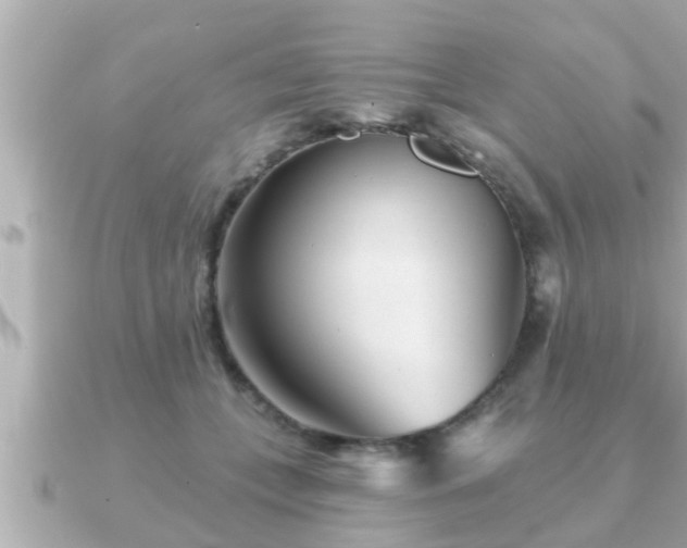 X0000090950559200708091330