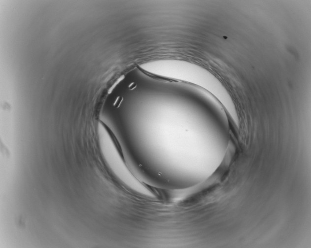 X0000090950560200708091330