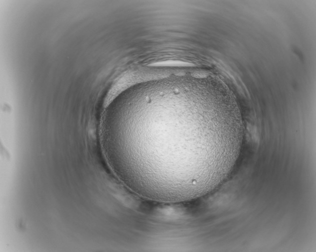X0000090950561200708091330
