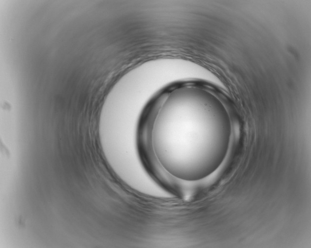 X0000090950564200708091330