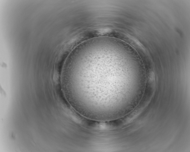 X0000090950565200708091330