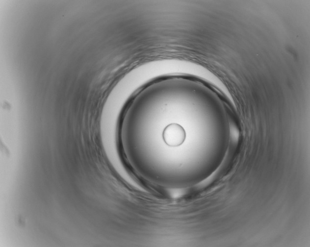 X0000090950566200708091330