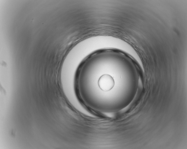 X0000090950568200708091330