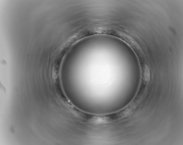 X0000090950569200708091330