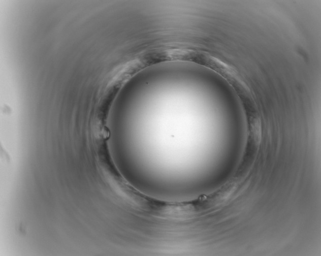 X0000090950571200708091330