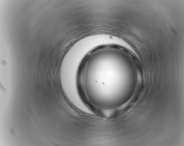 X0000090950572200708091330