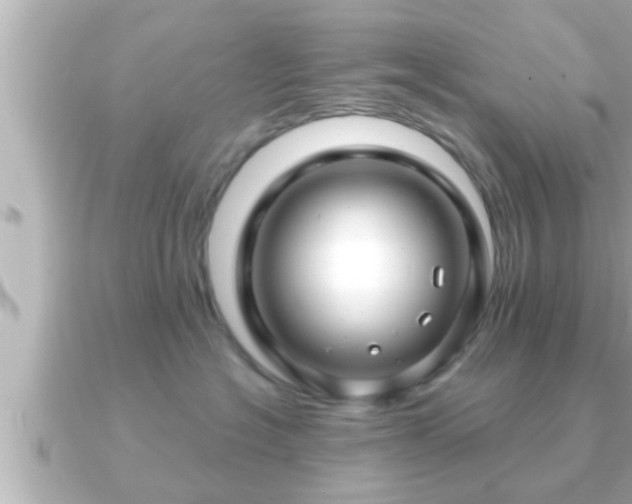 X0000090950574200708091330