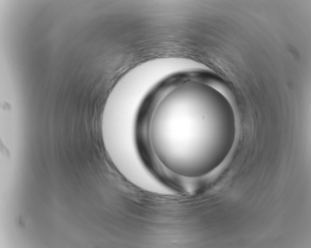 X0000090950576200708091330