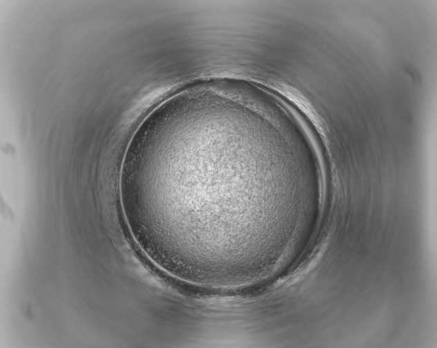 X0000090950577200708091330