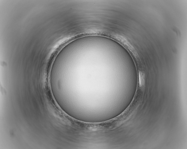 X0000090950579200708091330