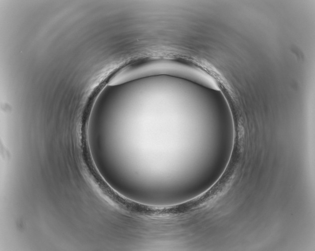 X0000090950581200708091330