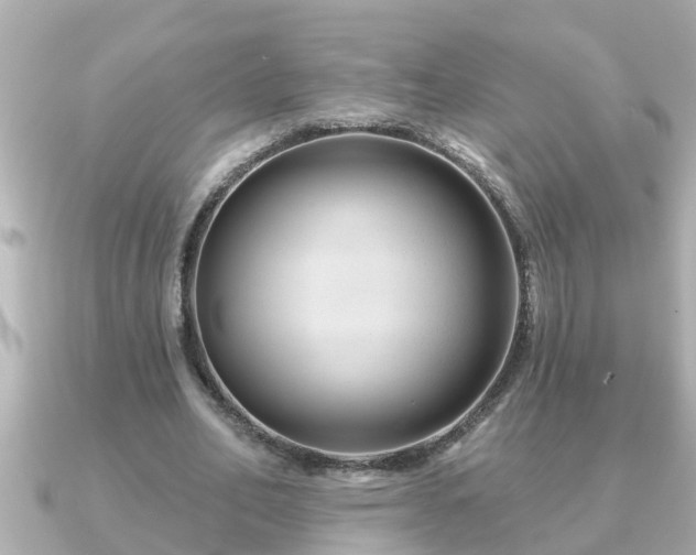 X0000090950582200708091330