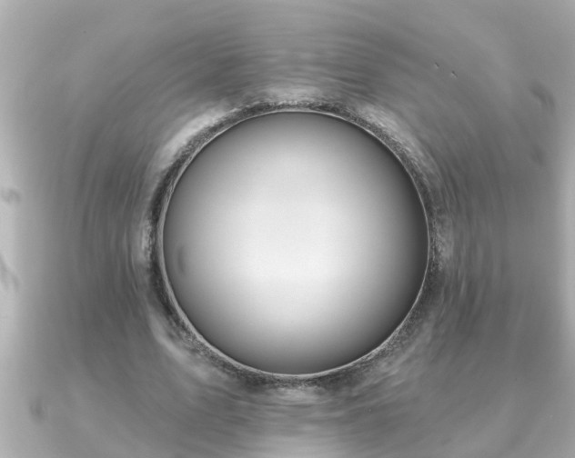 X0000090950583200708091330