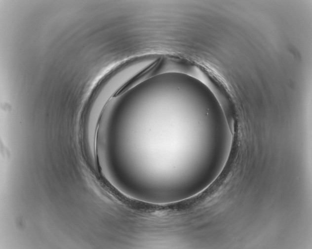 X0000090950584200708091330