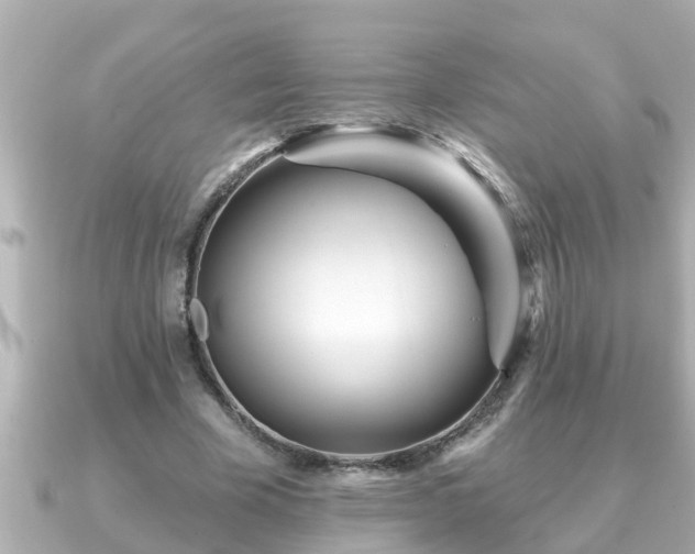 X0000090950585200708091330