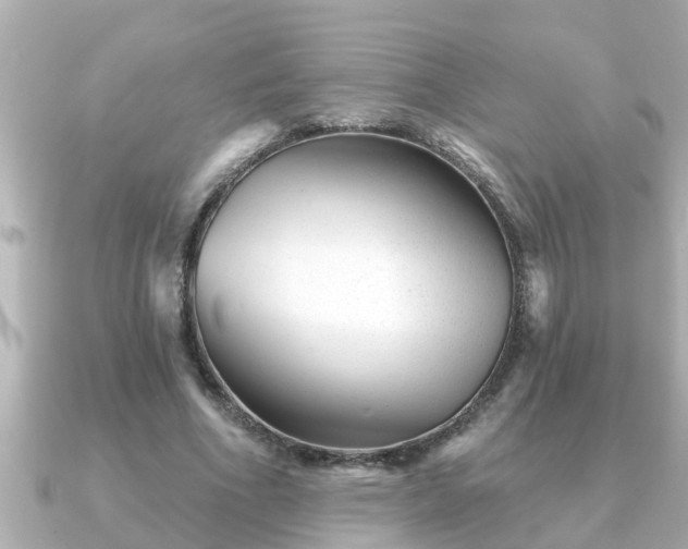 X0000090950586200708091330