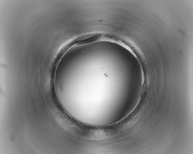 X0000090950588200708091330