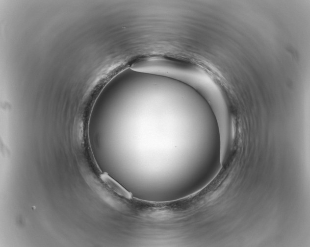 X0000090950589200708091330