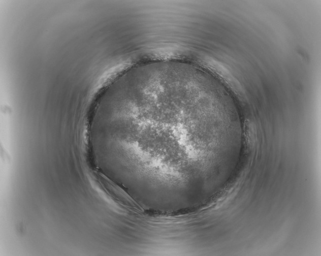 X0000090950590200708091330