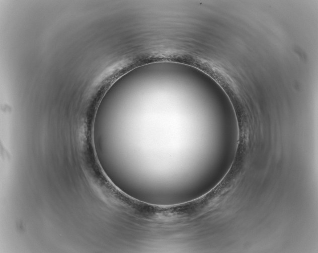 X0000090950591200708091330