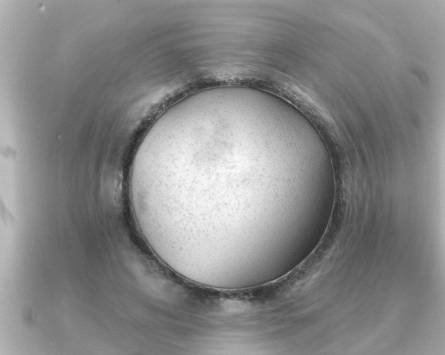X0000090950592200708091330