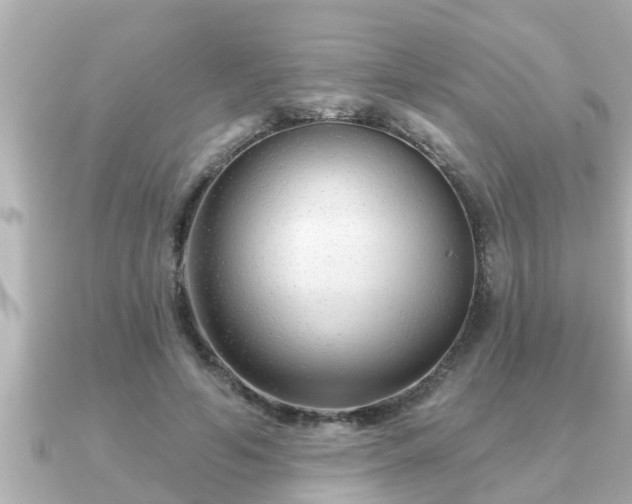 X0000090950594200708091329
