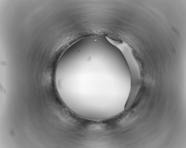 X0000090950595200708091329