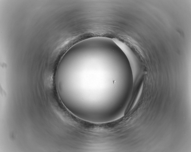 X0000090950596200708091329