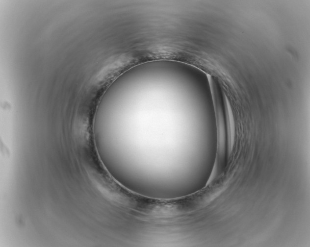 X0000090950599200708091329