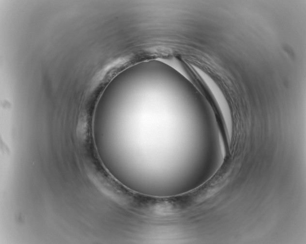 X0000090950600200708091329