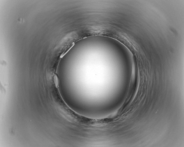 X0000090950601200708091329