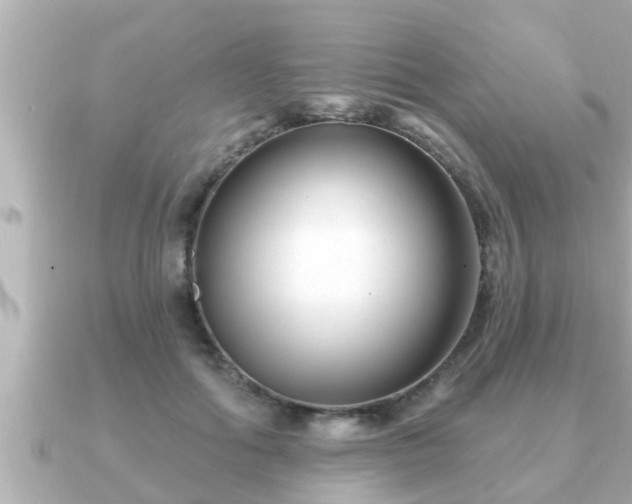 X0000090950602200708091329