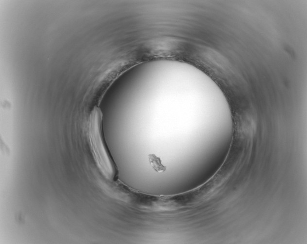 X0000090950603200708091329