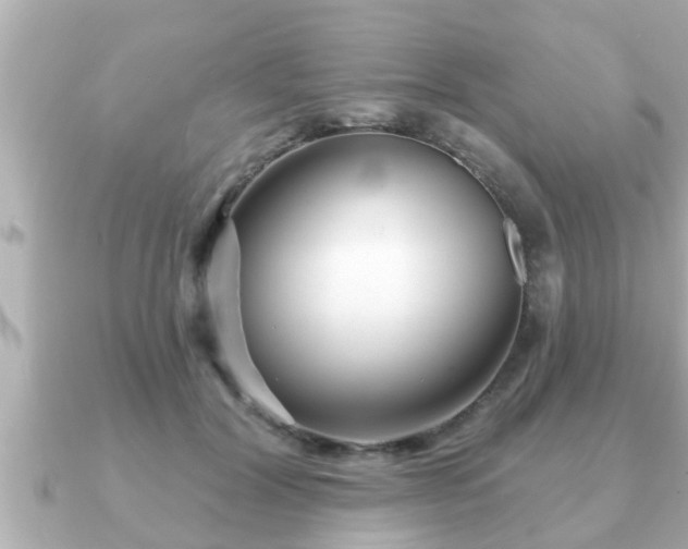 X0000090950604200708091329