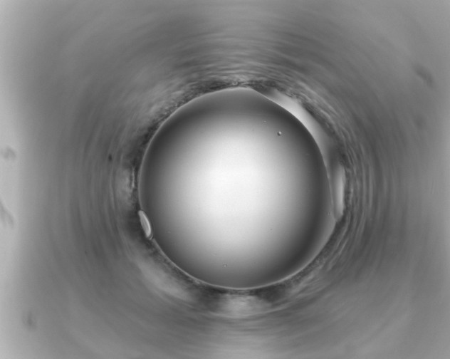 X0000090950605200708091329