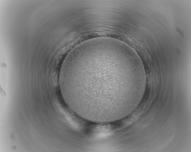 X0000090950606200708091329