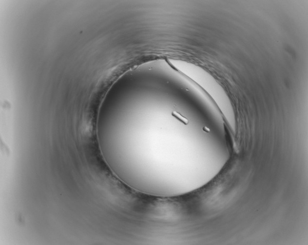X0000090950608200708091329