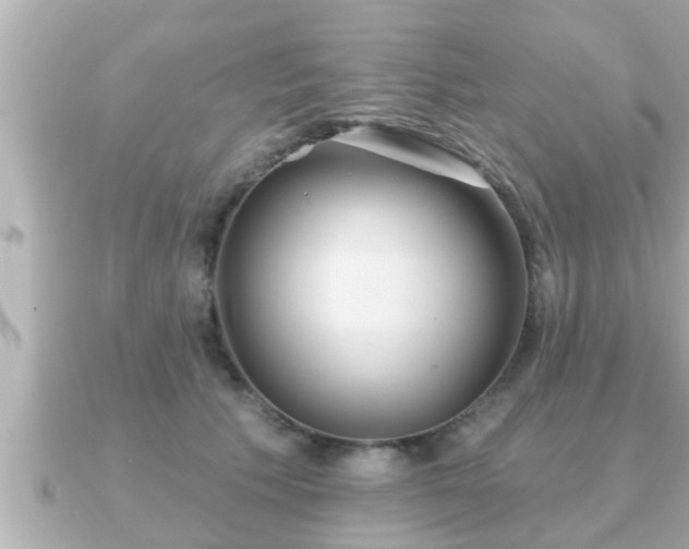 X0000090950609200708091329