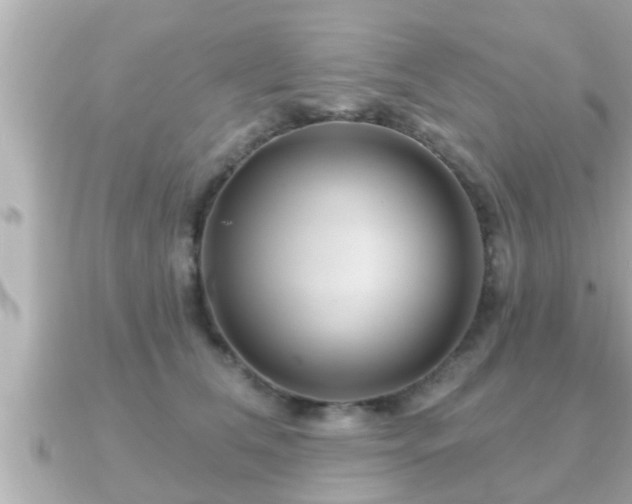 X0000090950612200708091329