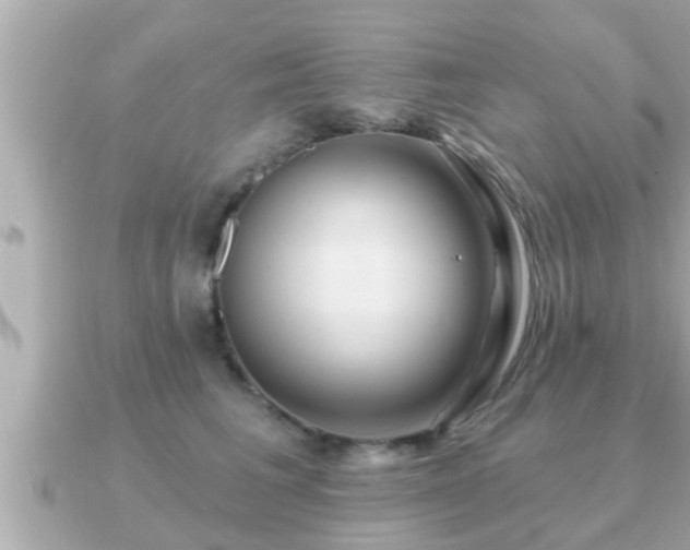 X0000090950613200708091329