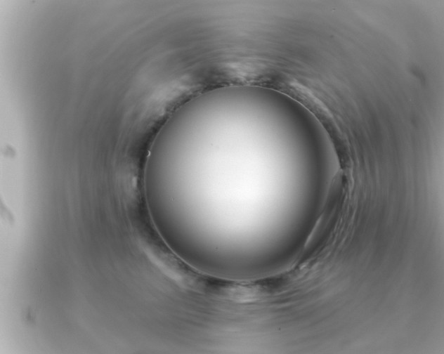 X0000090950615200708091329