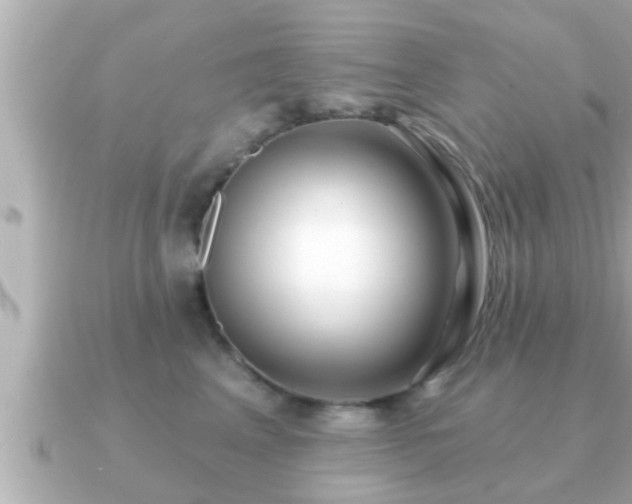 X0000090950617200708091329