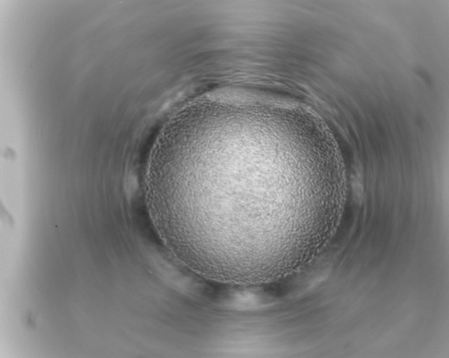 X0000090950618200708091329