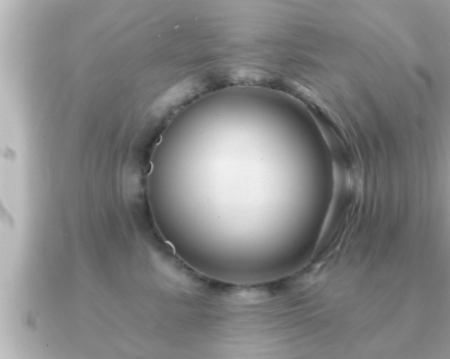 X0000090950619200708091329