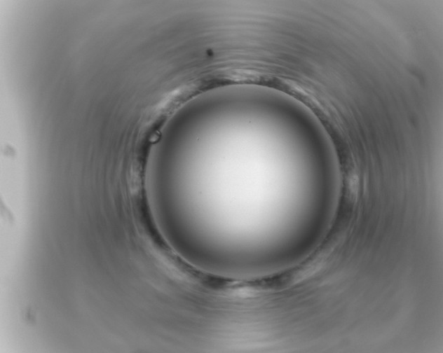 X0000090950620200708091329