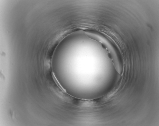 X0000090950621200708091329