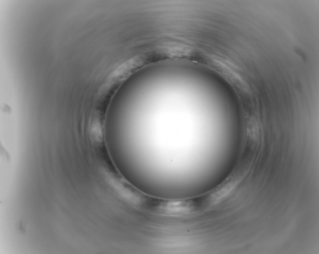 X0000090950622200708091329
