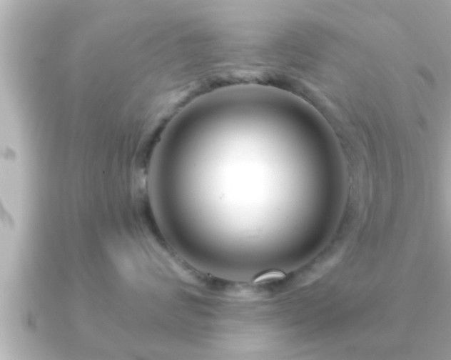 X0000090950624200708091329
